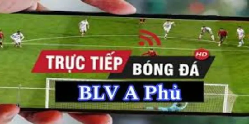 blv a phủ